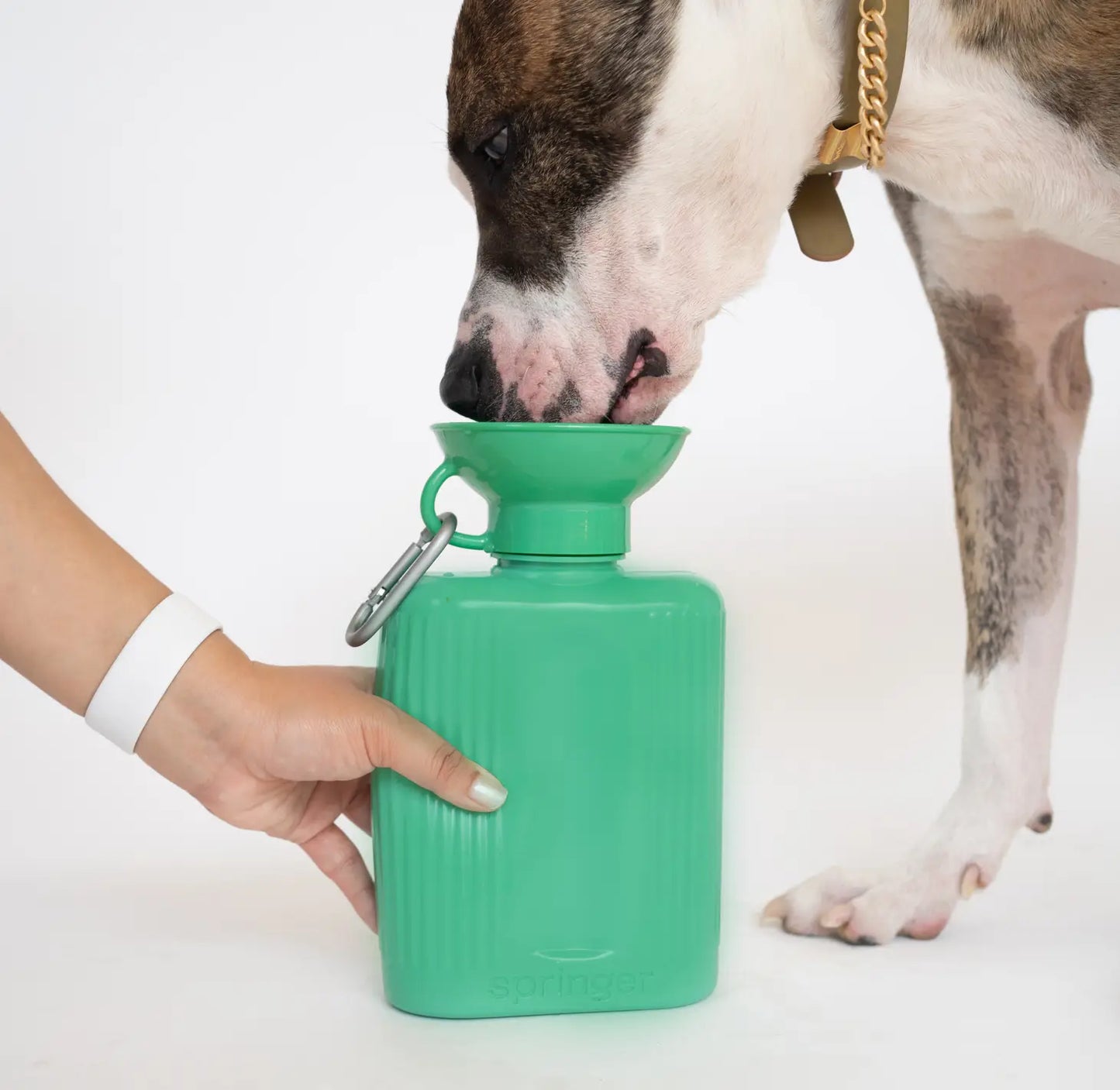 Springland Dog Water Travel Bottle - Large