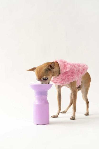 Springland Dog Water Travel Bottle - Mini