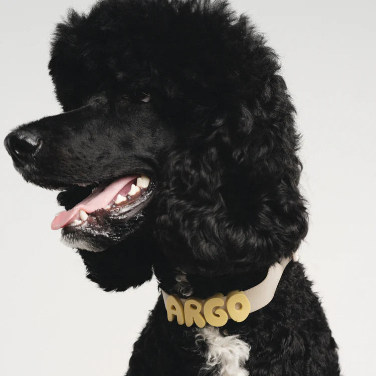 Springland Dog Collar Charms