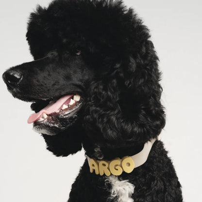 Springland Dog Collar Charms