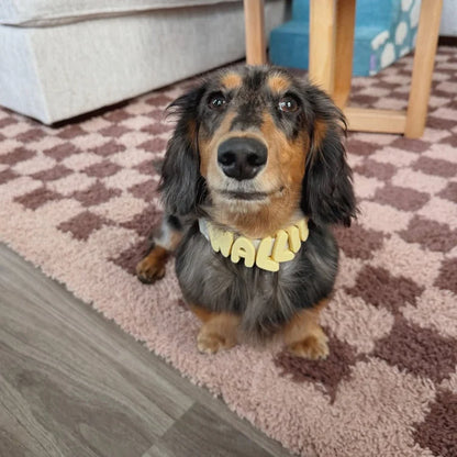 Springland Dog Collar Charms