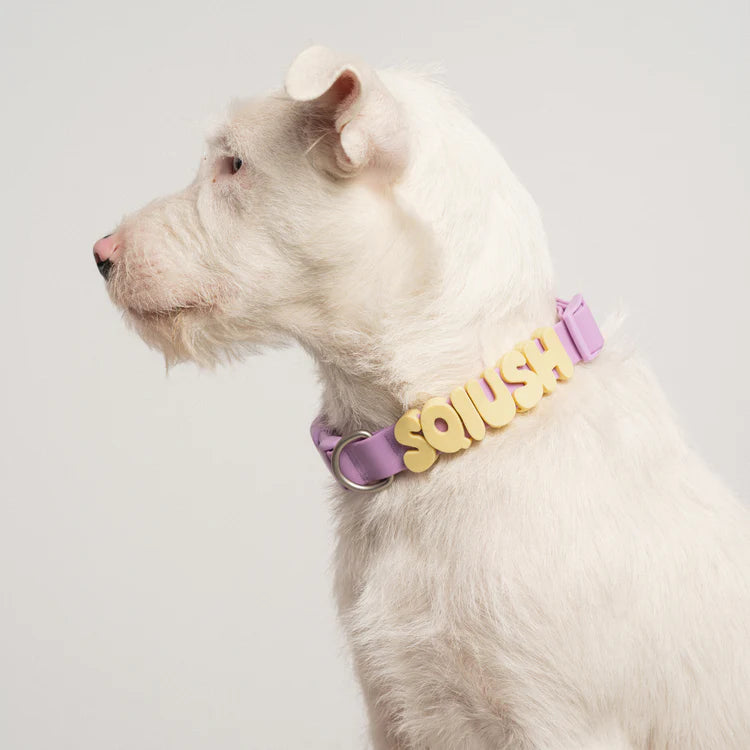 Springland Dog Collar Charms