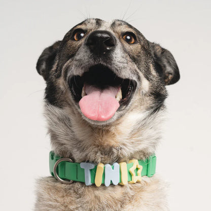 Springland Dog Collar Charms