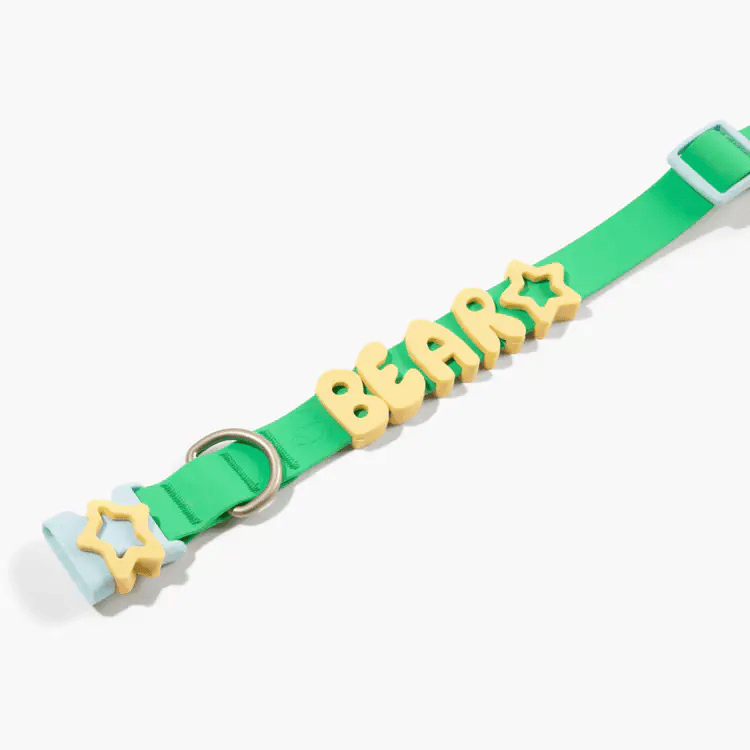 Springland Dog Collar Charms