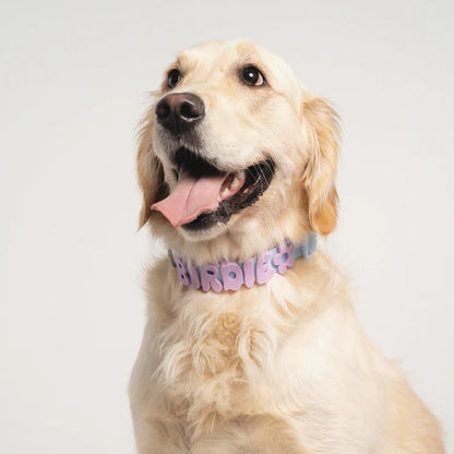 Springland Dog Collar Charms
