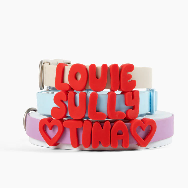 Springland Dog Collar Charms