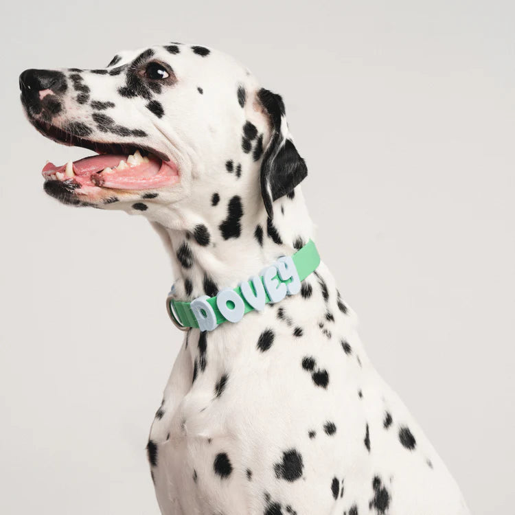 Springland Dog Collar Charms