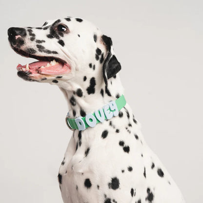 Springland Dog Collar Charms