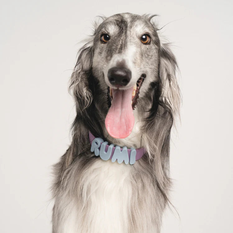 Springland Dog Collar Charms