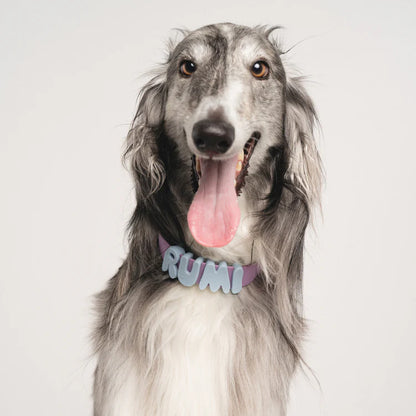 Springland Dog Collar Charms