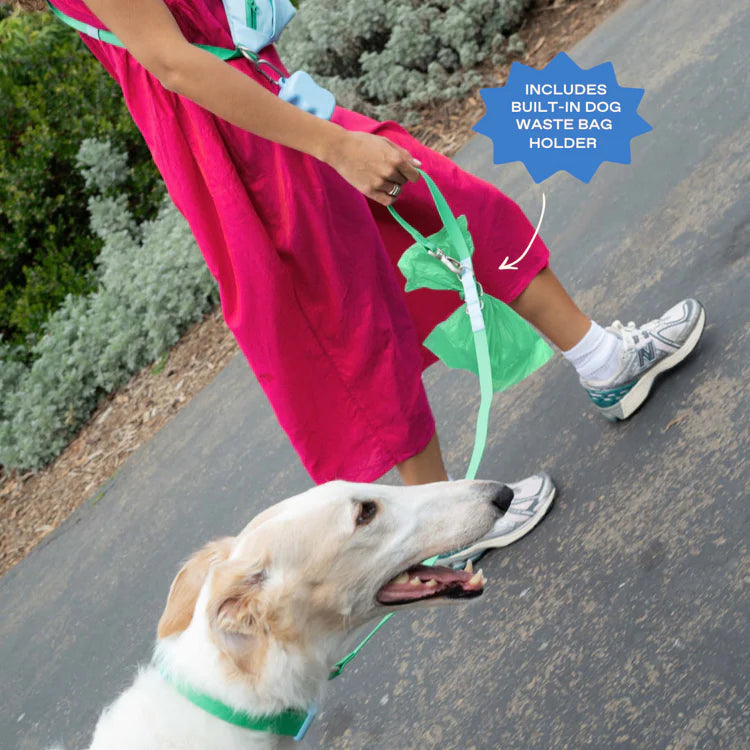 Springland Hands-Free Dog Walking Bag with Leash