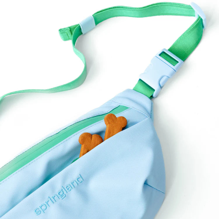 Springland Hands-Free Dog Walking Bag with Leash