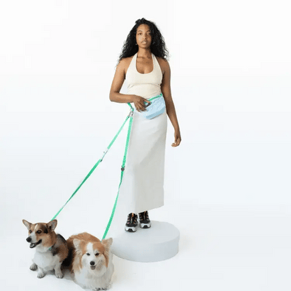 Springland Hands-Free Dog Walking Bag with Leash