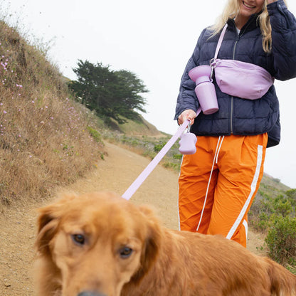 Springland Hands-Free Dog Walking Bag with Leash