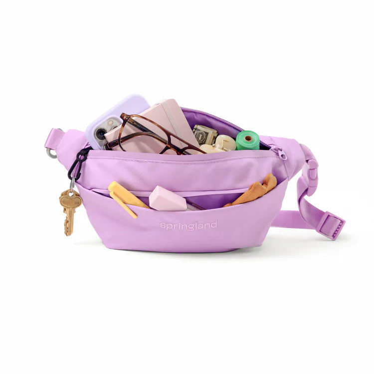 Springland Hands-Free Dog Walking Bag with Leash