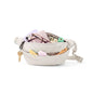 Springland Hands-Free Dog Walking Bag with Lead
