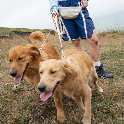 Springland Hands-Free Dog Walking Bag with Leash