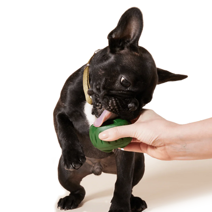 Woof Pupsicle Toy Treat Tray