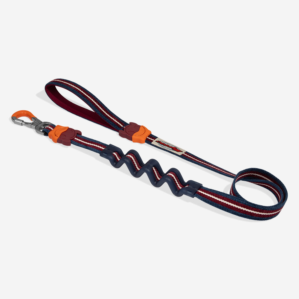 Zee.Dog Velvet Vibes Dropout Shock Absorbing Dog Lead