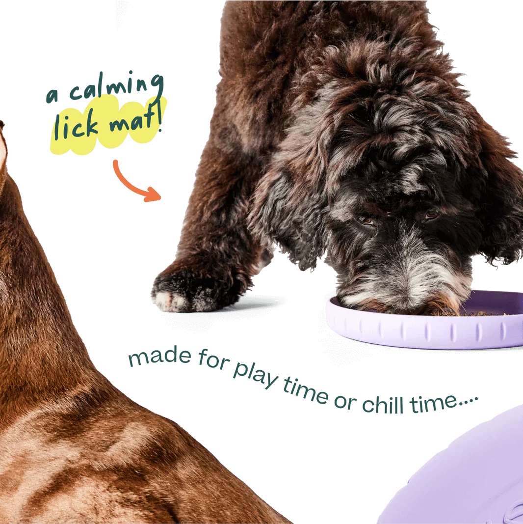 Woof Fly 'N' Feed Lavender Dog Frisbee & Lick Mat