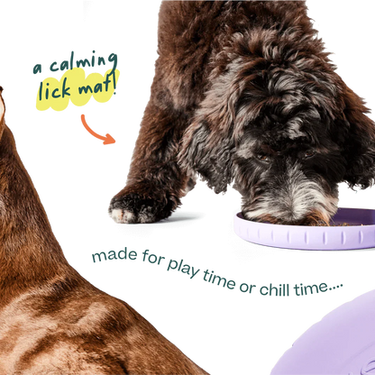 Woof Fly 'N' Feed Lavender Dog Frisbee & Lick Mat