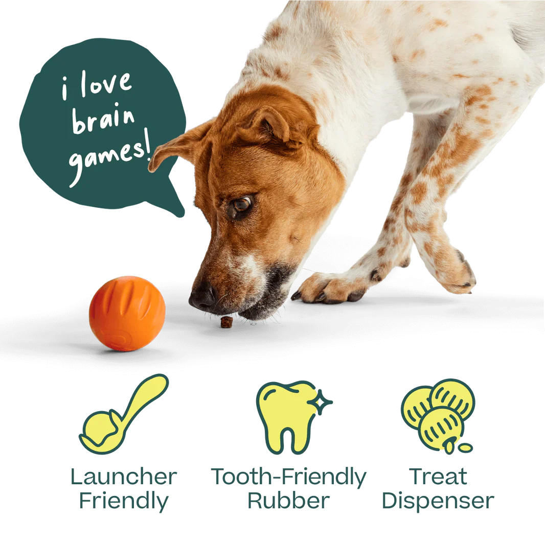 Woof Yellow Flyball 2-in-1 Dog Ball & Puzzle Toy