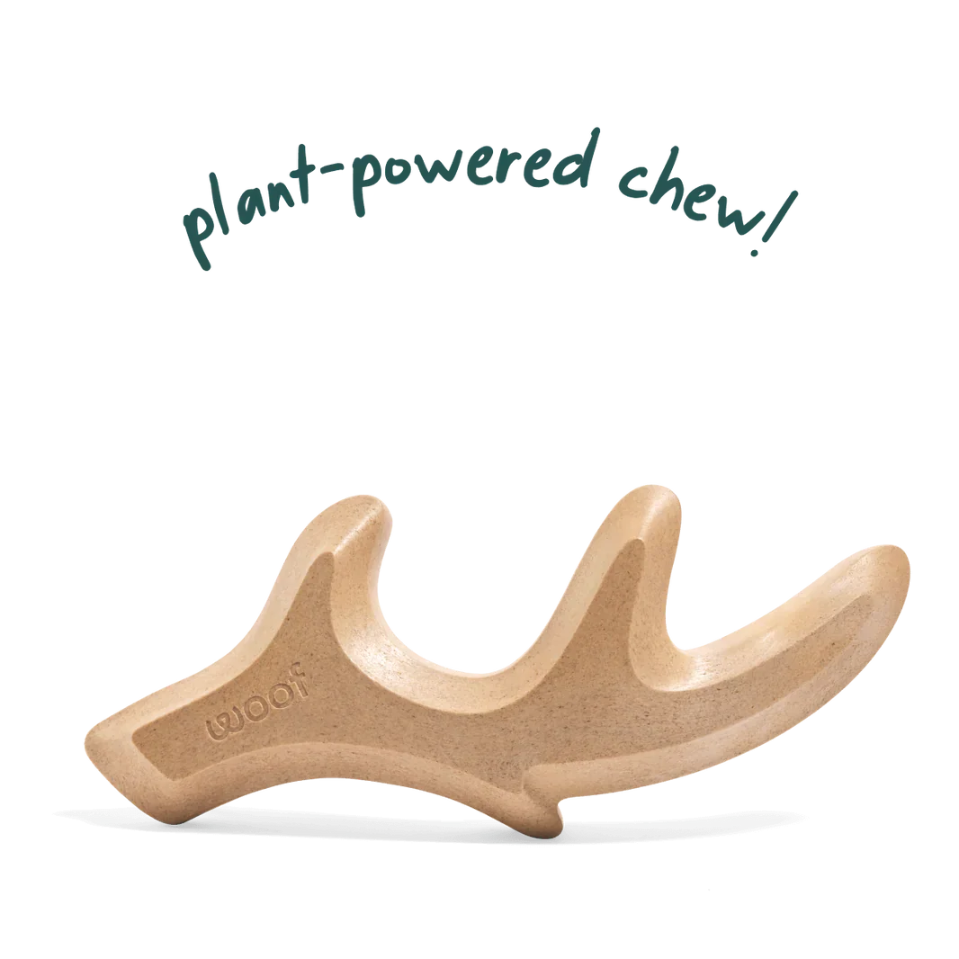 woof honestchew antler 