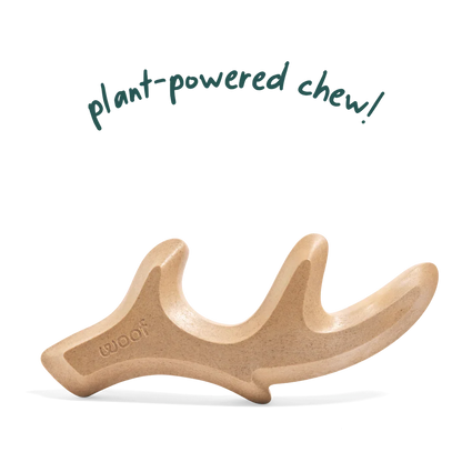woof honestchew antler 