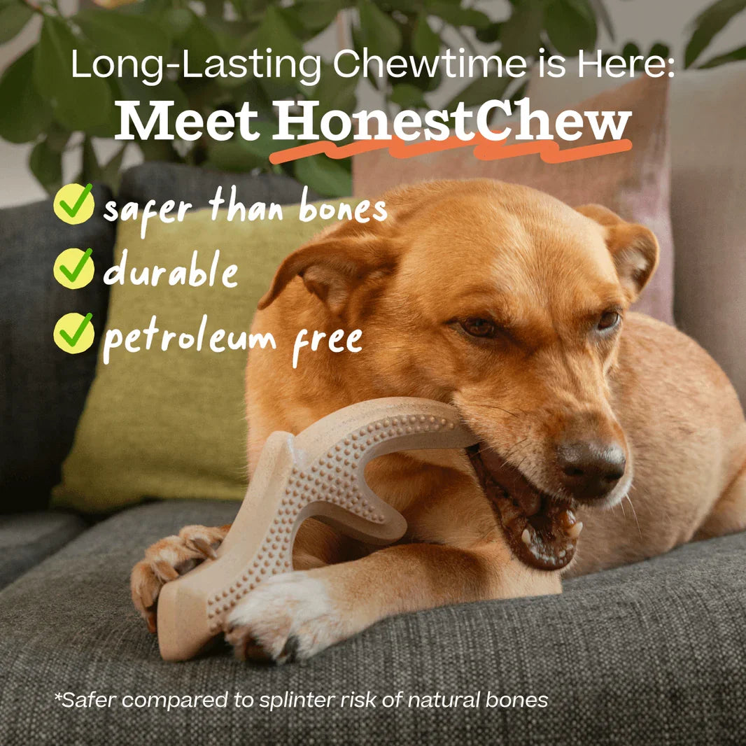 Woof HonestChew Ultra-Durable Antler Dog Chew Toy