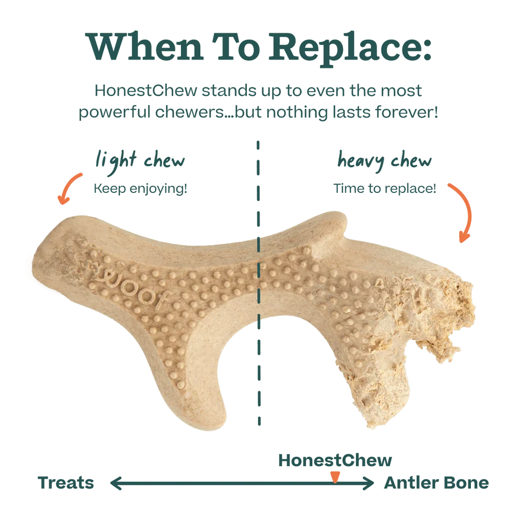 woof honest chew infographic