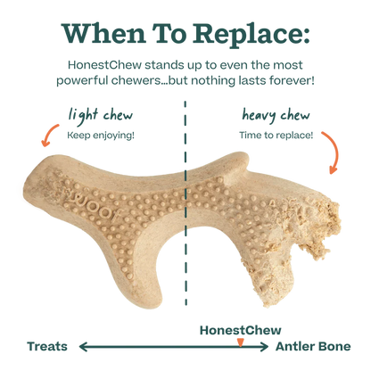 woof honest chew infographic