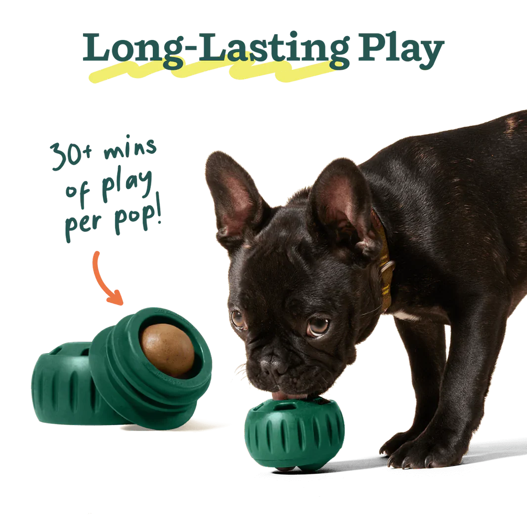Woof Pupsicle Toy Refill Pops