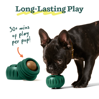 Woof Pupsicle Toy Refill Pops
