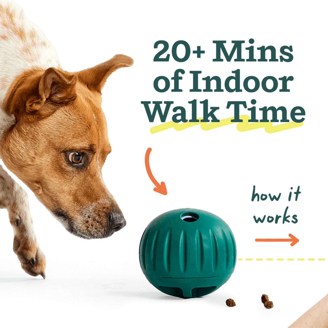 Woof Walkabout Slow Feeder Ball & Treat Puzzle Dog Toy