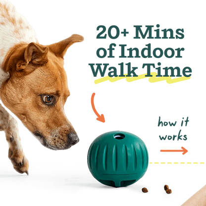 Woof Walkabout Slow Feeder Ball & Treat Puzzle Dog Toy