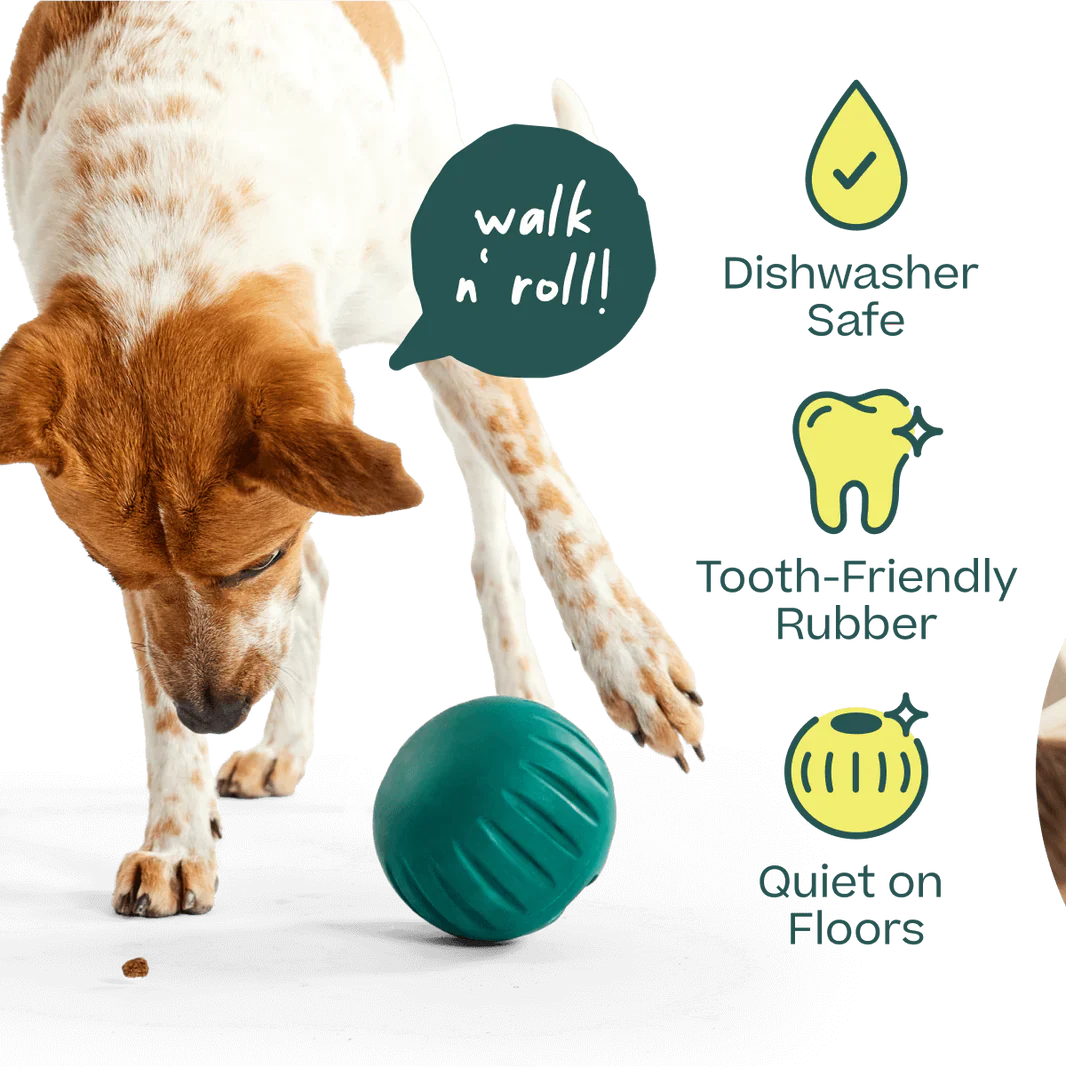 Woof Walkabout Slow Feeder Ball & Treat Puzzle Dog Toy