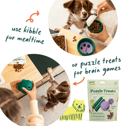 Woof Walkabout Slow Feeder Ball & Treat Puzzle Dog Toy