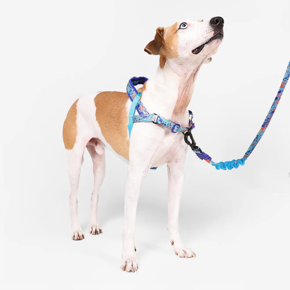 Zee.Dog Glitch SofterWalk Harness - Error #404