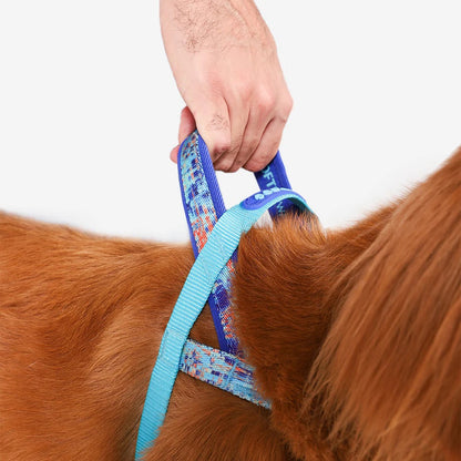 Zee.Dog Glitch SofterWalk Harness - Error #404