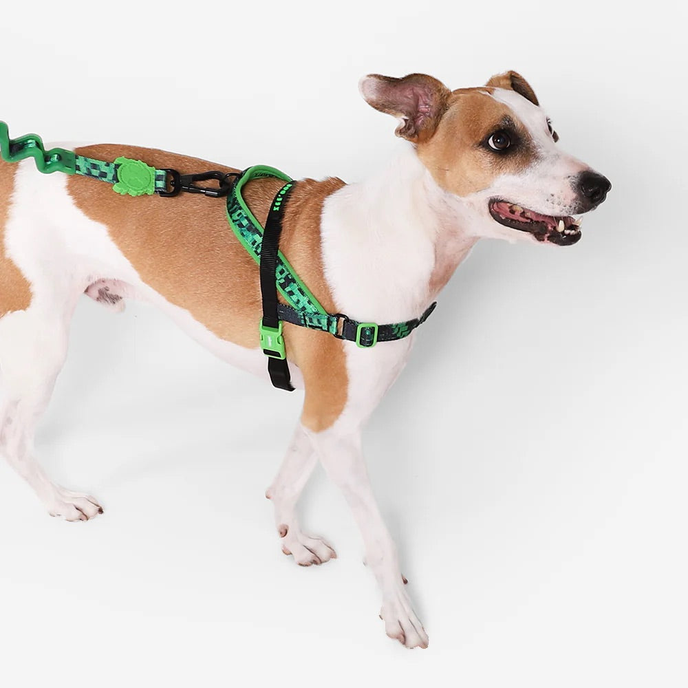 Zee.Dog Glitch SofterWalk Harness - Error #410