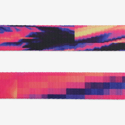 Zee.Dog Glitch Dog Lead - Error #500