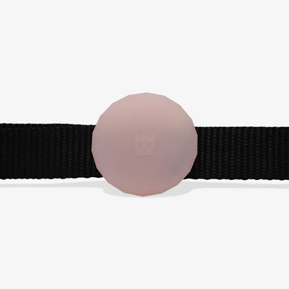 Black collar with a pink-coloured airtag holder on a white background on a white background
