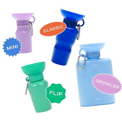 Springland Travel Water Bowl Flip Top Water Bottle for Dogs
