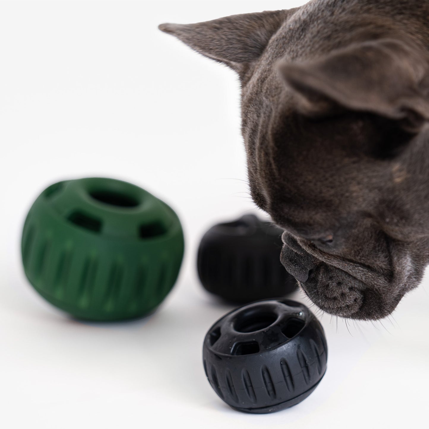 Woof Black Pupsicle Toy