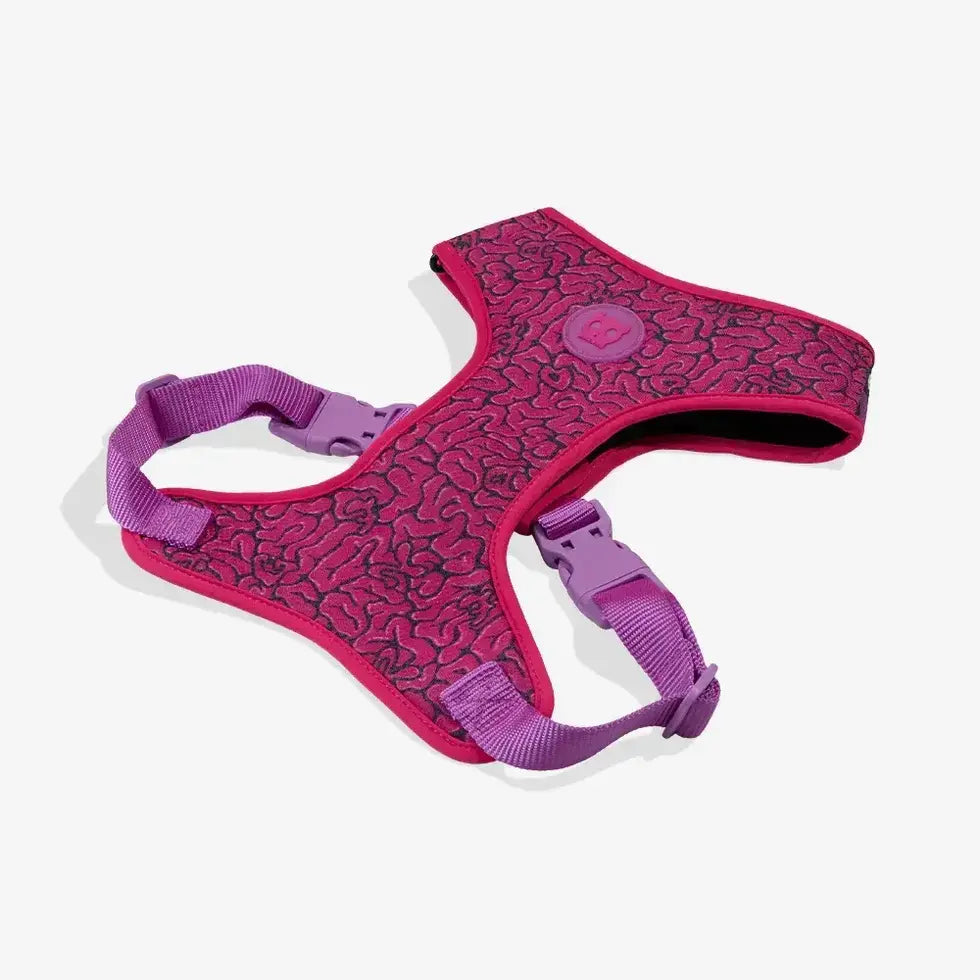 Zee.Dog Lords of Zee.Town Adjustable Air Mesh Harness for Dogs - Brain