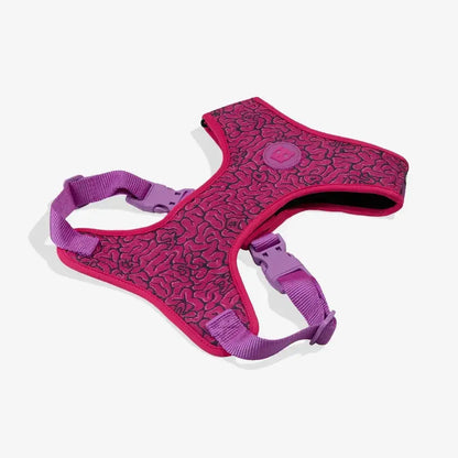 Zee.Dog Lords of Zee.Town Adjustable Air Mesh Harness for Dogs - Brain