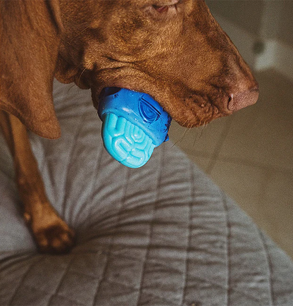 Zee.Dog Brain Freeze  Chew Toy - Mint Scent