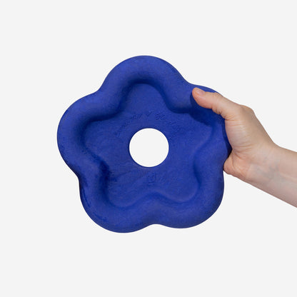 Zee.Dog x FARM RIO Flower Frisbee