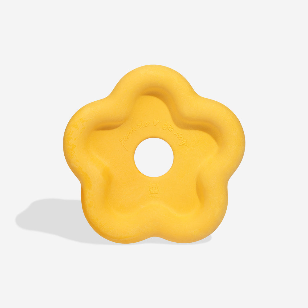 Zee.Dog x FARM RIO Flower Frisbee