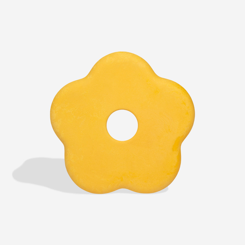 Zee.Dog x FARM RIO Flower Frisbee